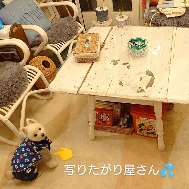 akaidarumaさんの部屋