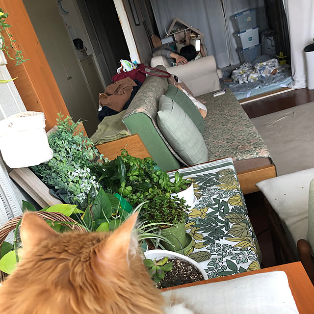 uchidaizuさんの実例写真