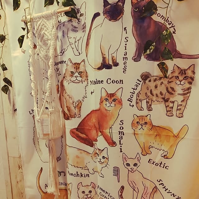 runaさんの部屋