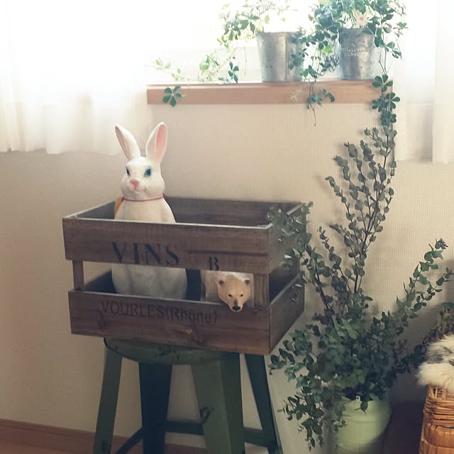 masax_xさんの実例写真