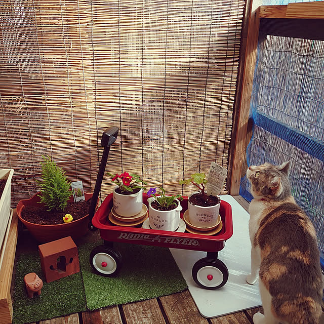 fukuさんの実例写真