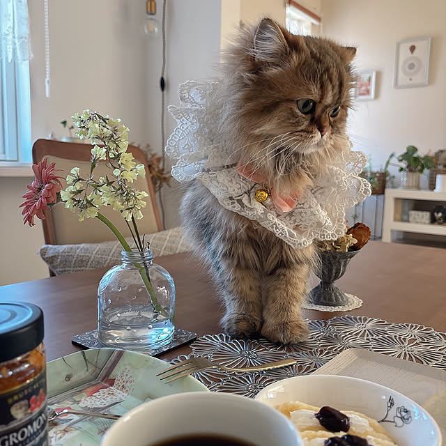 miyu39さんの部屋