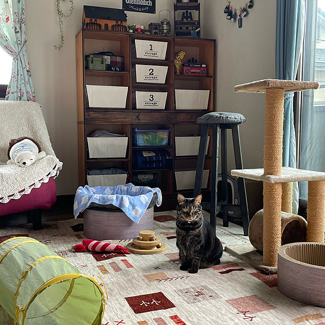 momocchiさんの部屋