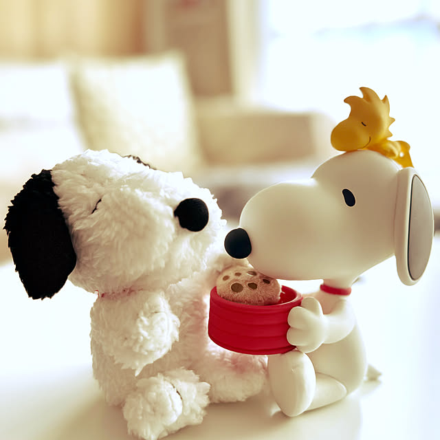 snoopyさんの部屋