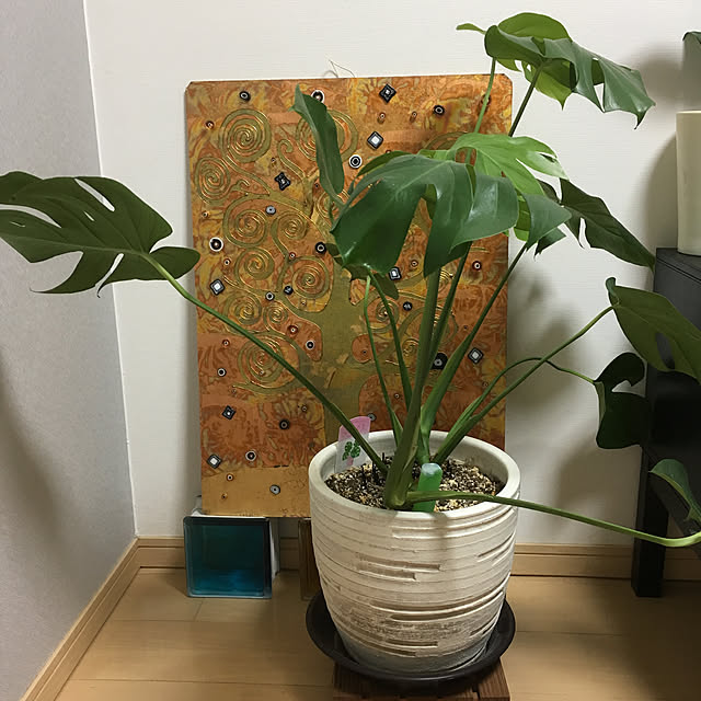 tonさんの実例写真