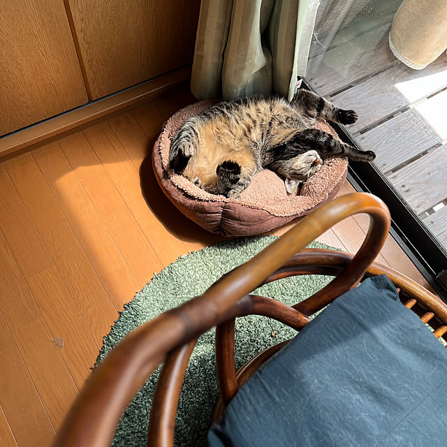 mikan161さんの実例写真