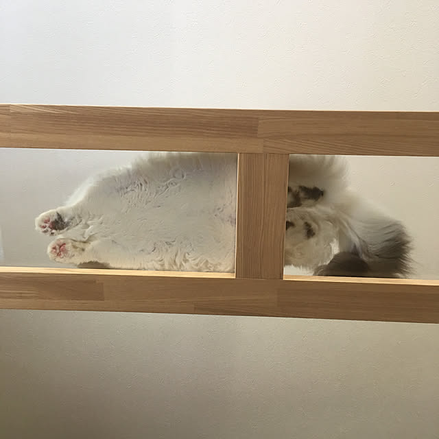 nyancohomeさんの実例写真