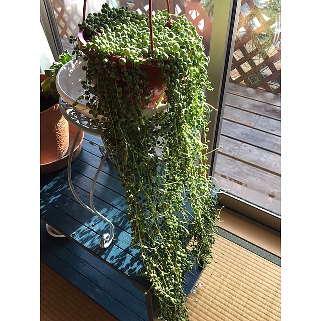 hirokoさんの実例写真