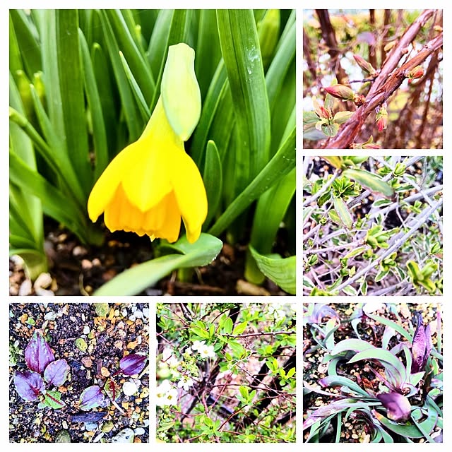 NSDさんの実例写真