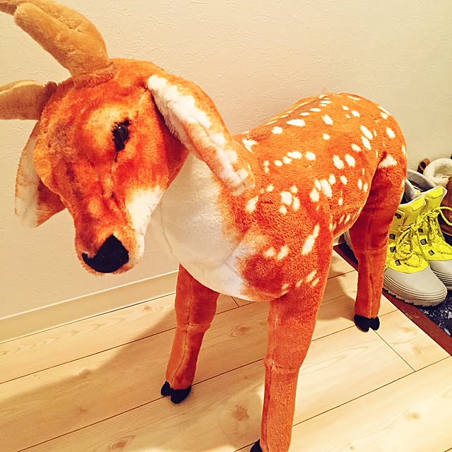 hachimitsu_pandaさんの実例写真
