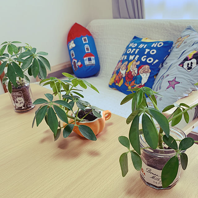 sakumin202さんの実例写真