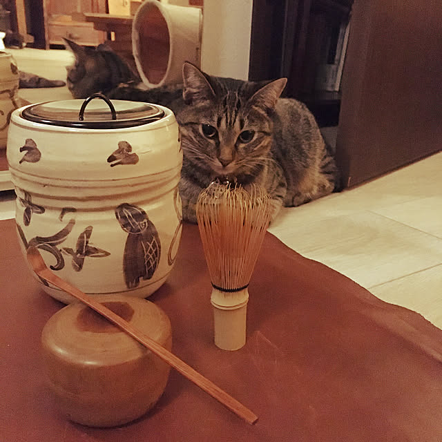 Mさんの実例写真