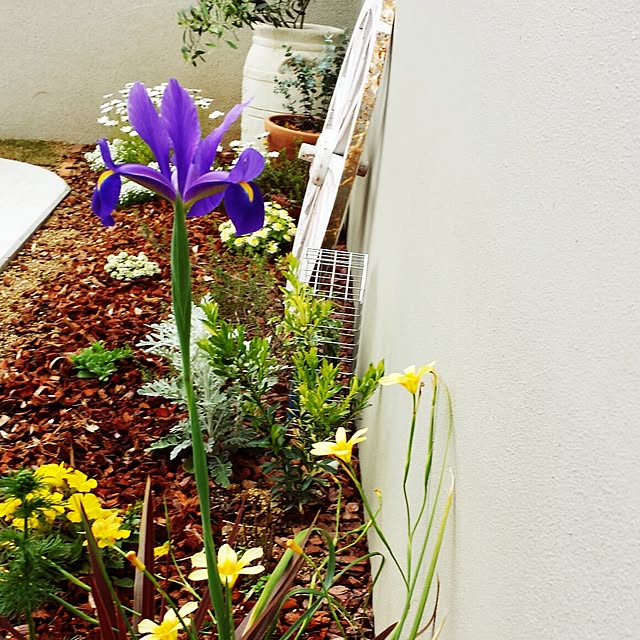 masax_xさんの実例写真