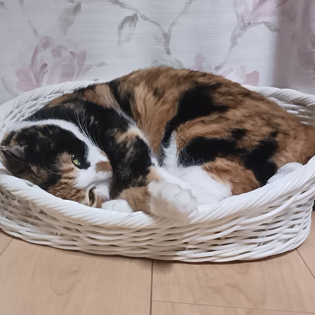aiさんの部屋