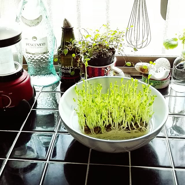 kikuさんの実例写真