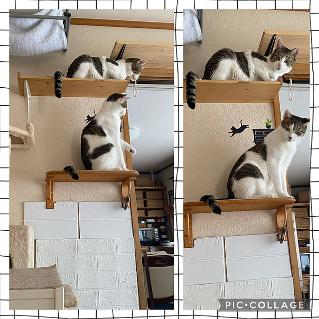 Lufuさんの実例写真