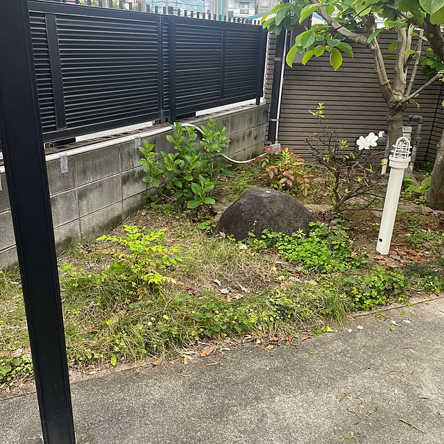 kuikoさんの部屋