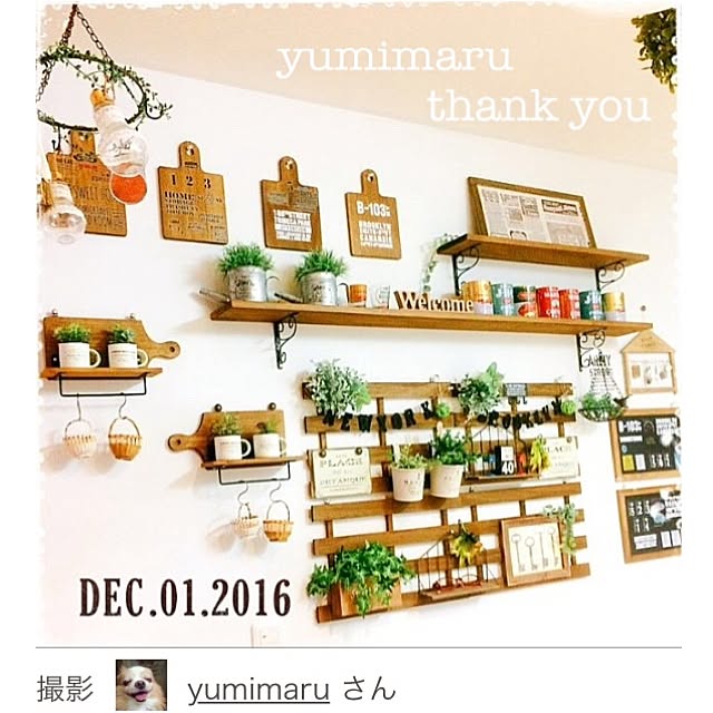 yumimaruさんの実例写真