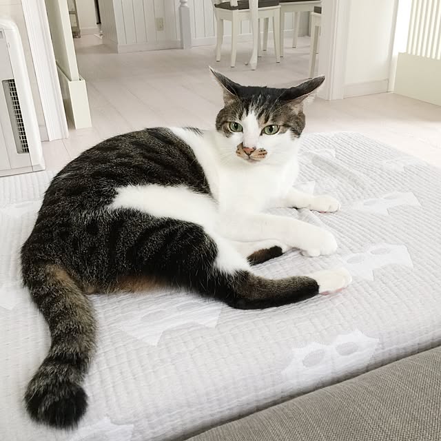 yuchiさんの実例写真
