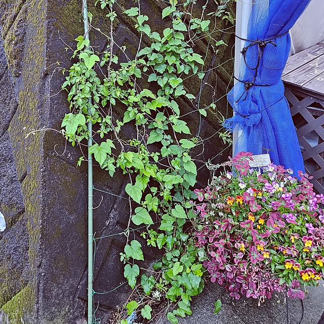 mocomocoさんの部屋