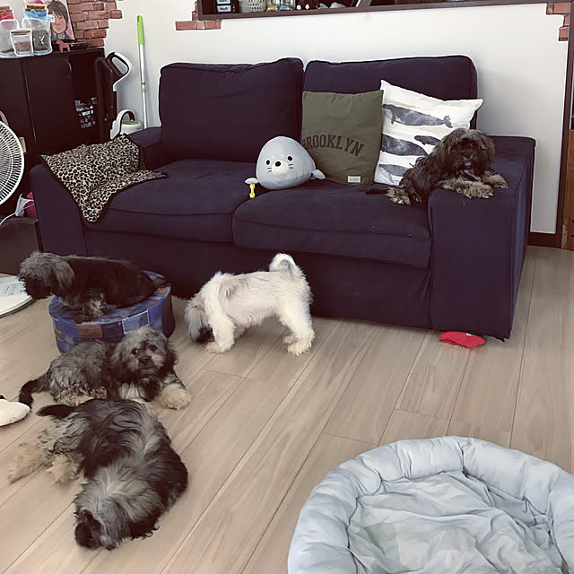Nobukoさんの実例写真