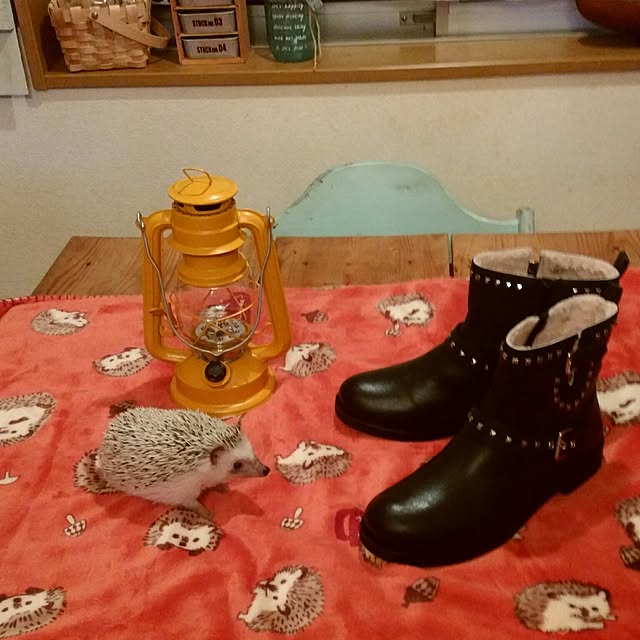 tomominさんの実例写真