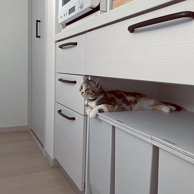mouseさんの実例写真