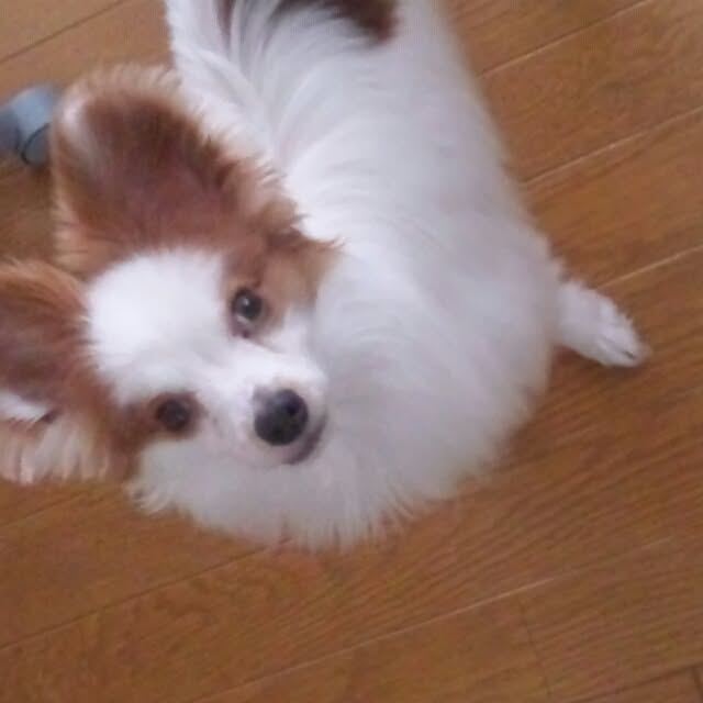 Takayukiさんの実例写真