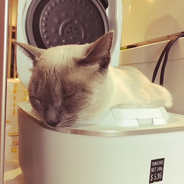 niko-25さんの実例写真
