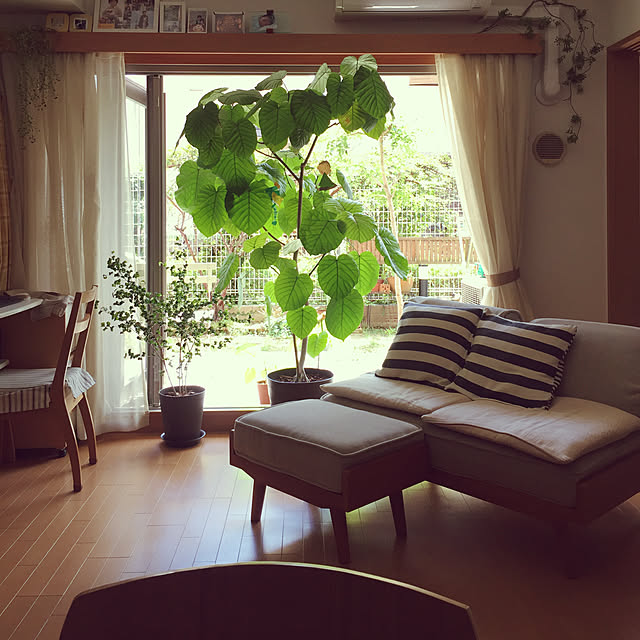 shizu2380さんの実例写真
