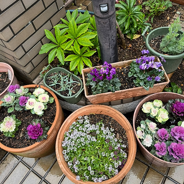 mamizaさんの部屋