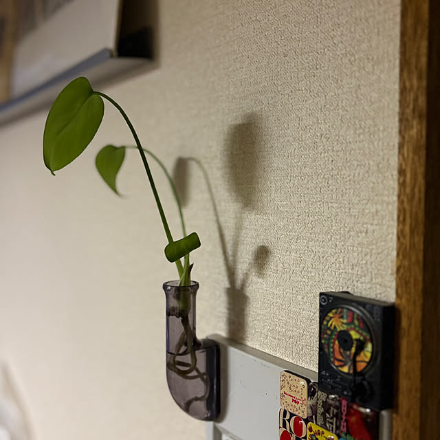 mnbさんの実例写真