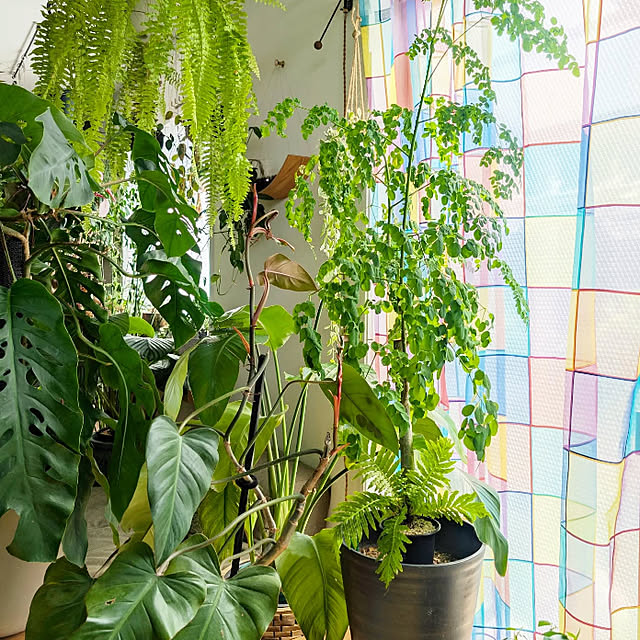 perfectspaceさんの実例写真