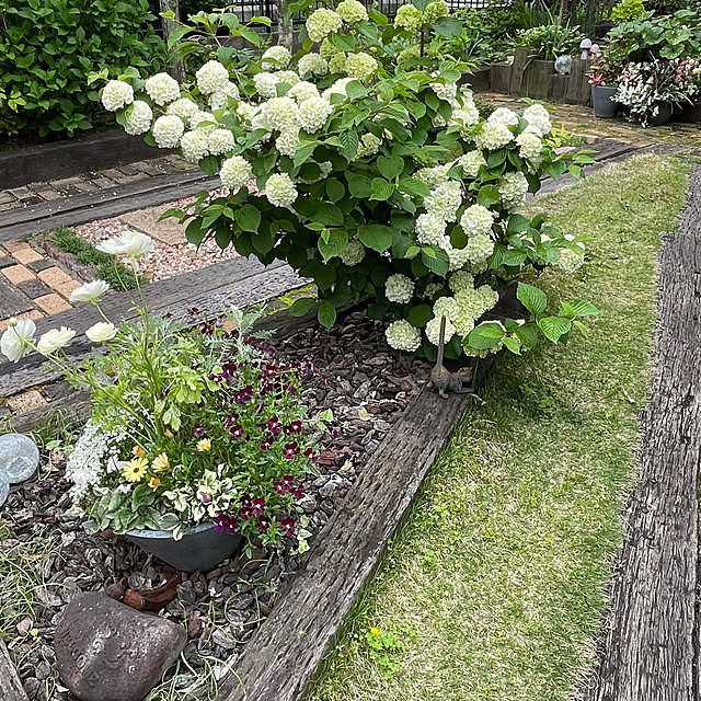 nobikoさんの部屋