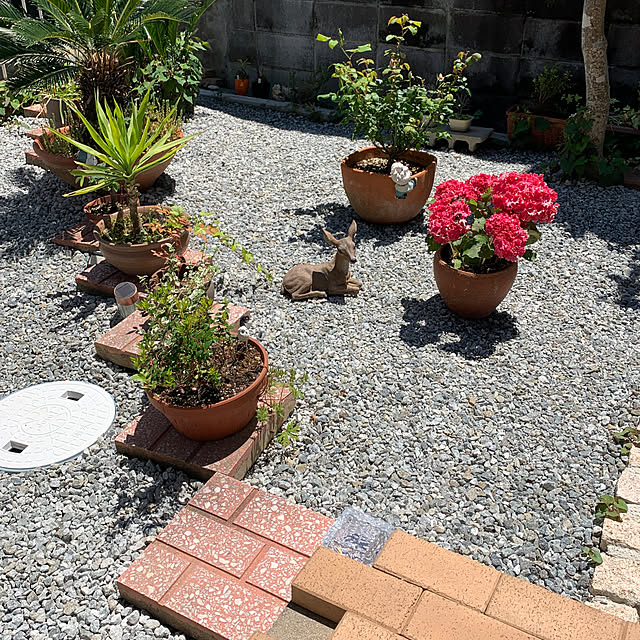 fumikoさんの実例写真