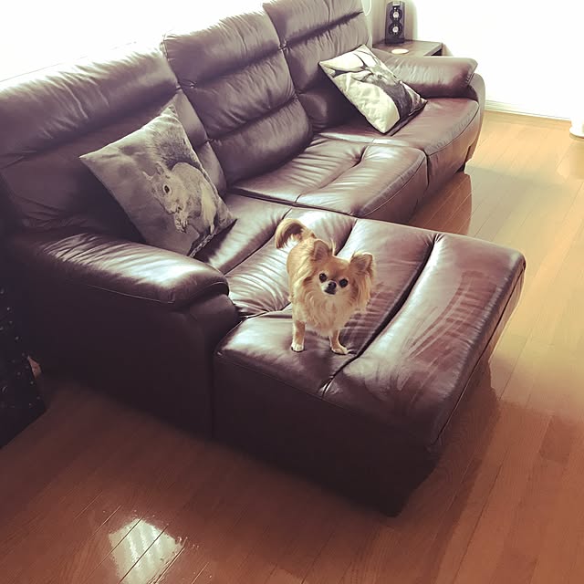 usakoさんの実例写真