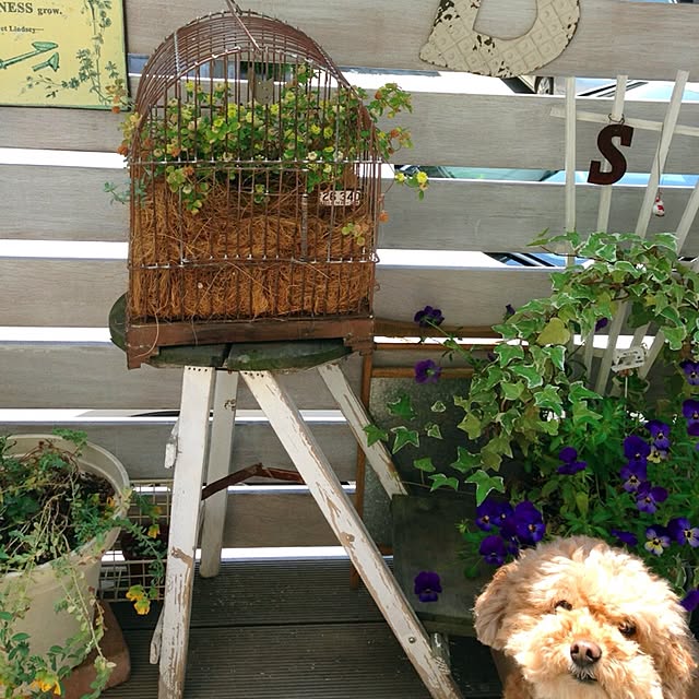 kurumichocoさんの実例写真
