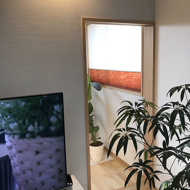 Haruさんの実例写真