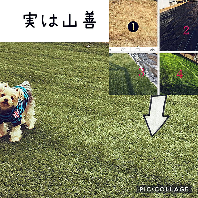 marcheさんの実例写真