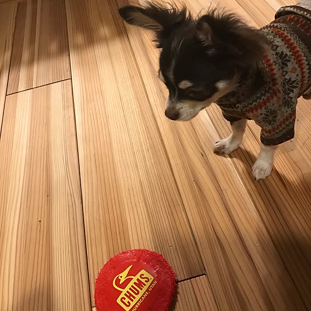 Manabuさんの実例写真