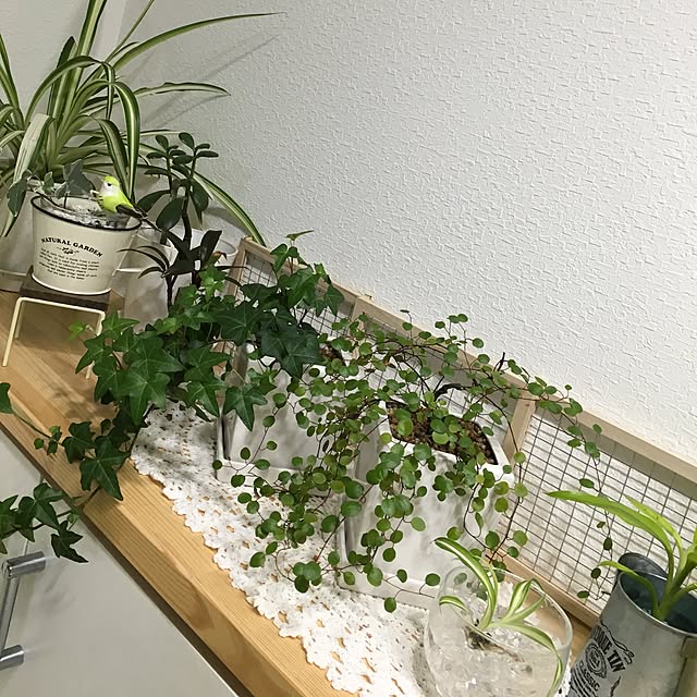 tsuuuuutanさんの実例写真