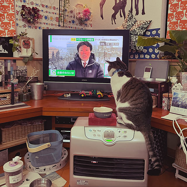 jijiさんの実例写真