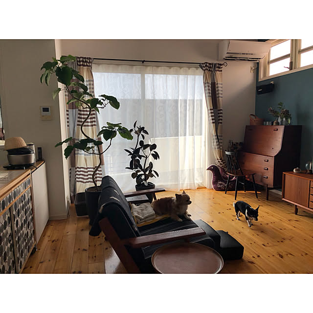 minagram_chotteさんの実例写真