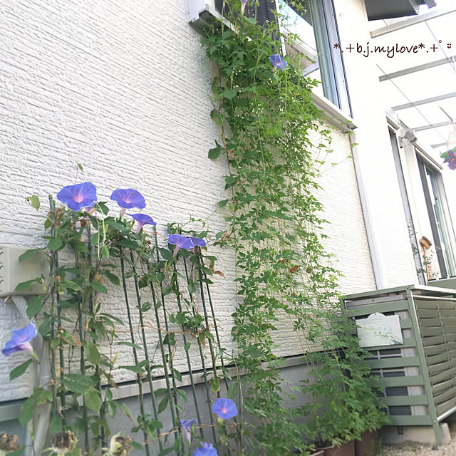 boku.jenny.myloveさんの実例写真