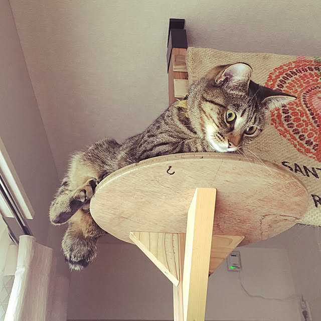Mさんの実例写真