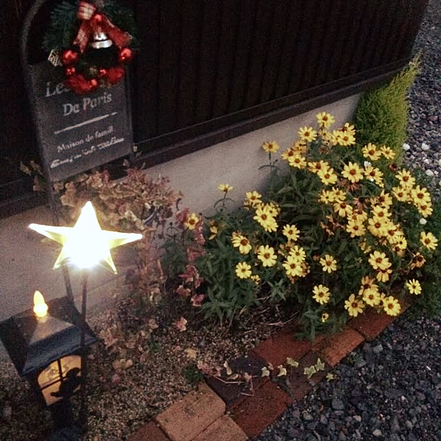 aripamuさんの実例写真
