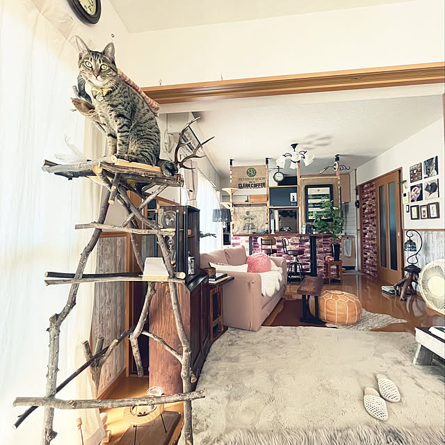Mさんの実例写真