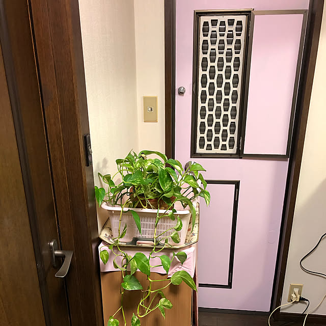 satooさんの実例写真