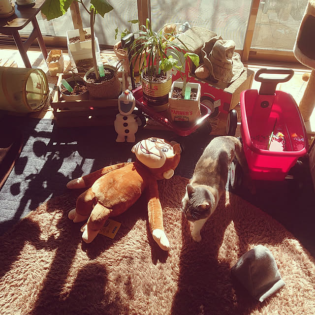 fukuさんの実例写真