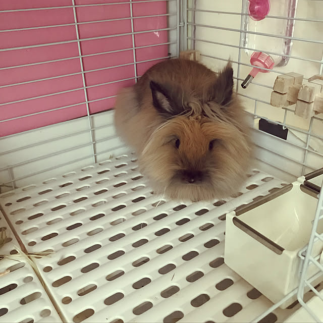 mさんの実例写真